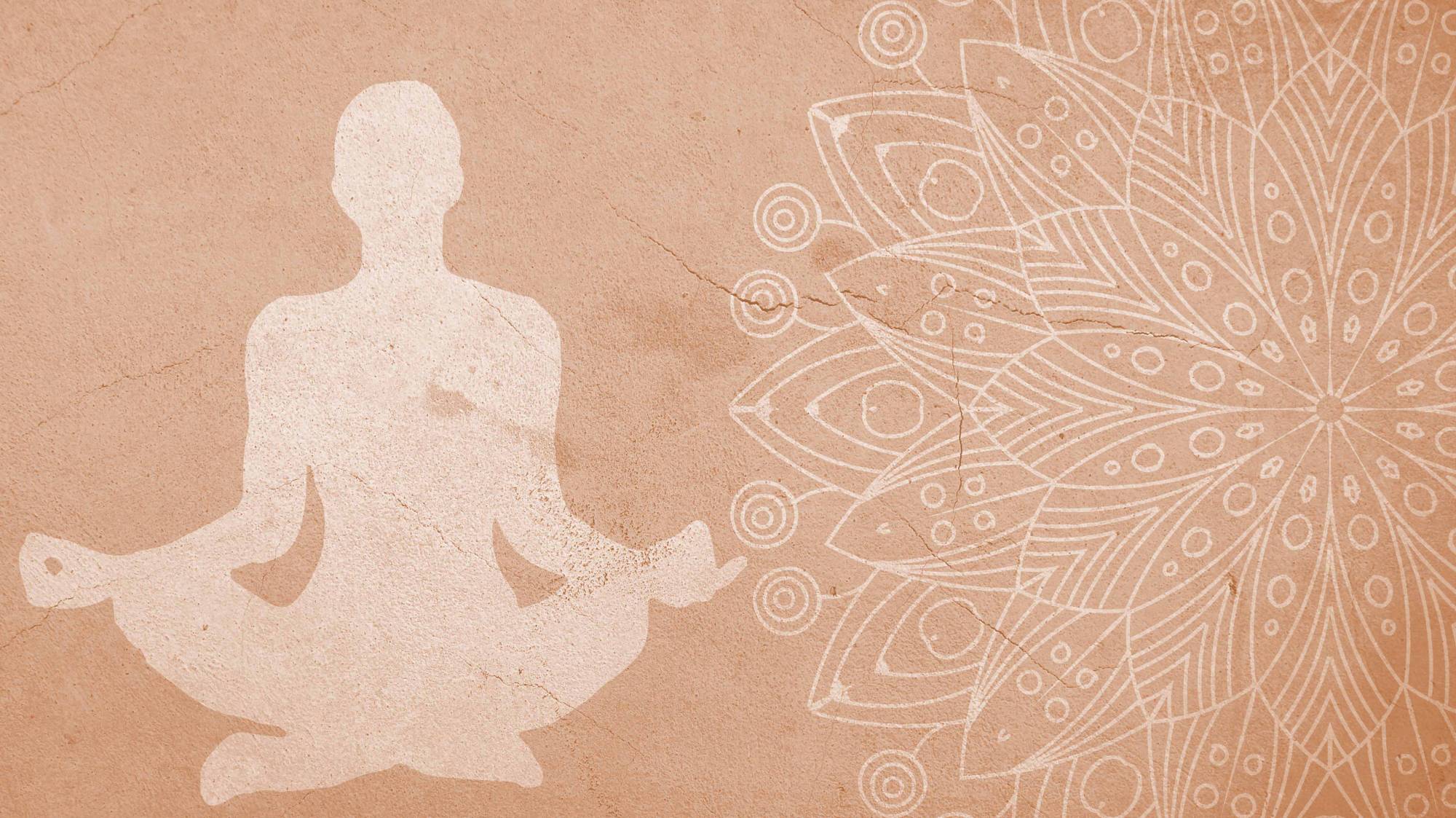 Human Design Wohlfuehlinsel